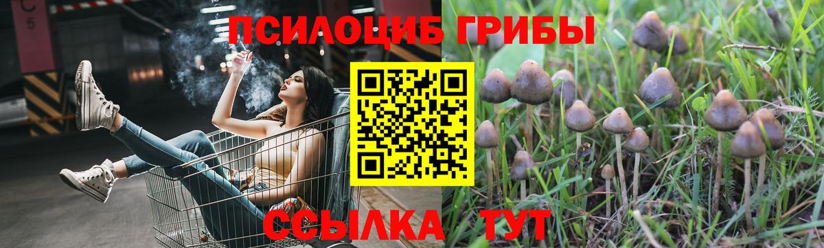 Галлюциногенные грибы Magic Shrooms  наркотики  Кстово  Вход с VPN 